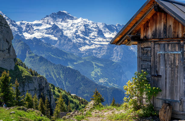 шиниге платте швейцария - глядя на монч, эйгер и jungfrau - monch summit nature switzerland стоковые фото и изображения