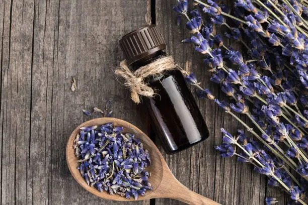 Essential oil lavender dry on a wooden table, top view