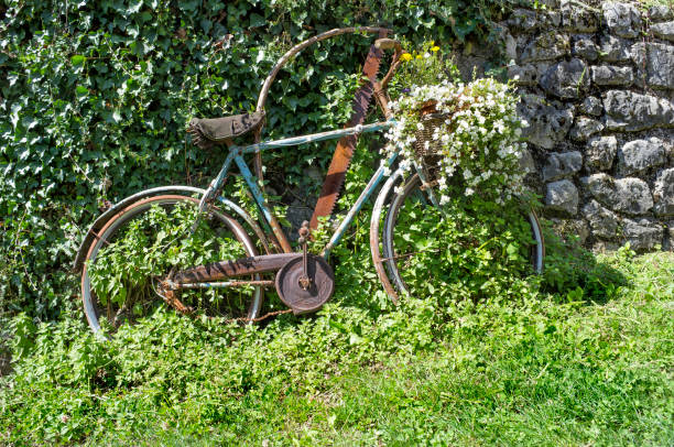 孤独の古い自転車が芝生に捨てられた - bicycle broken old chain ストックフォトと画像