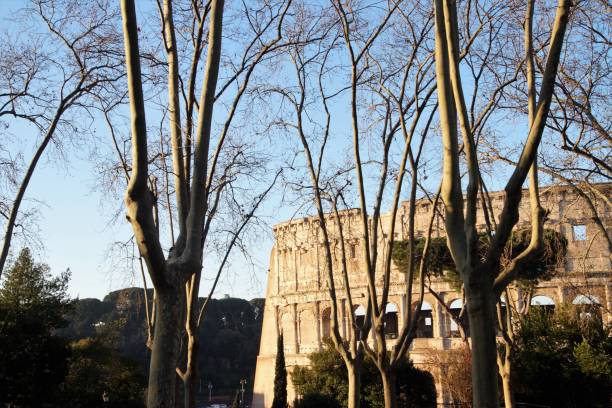 coliseum in Rome, Italy