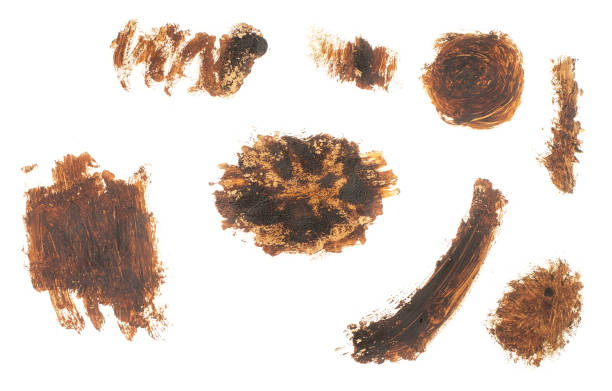 istock Brown paint brush strokes texture isolated on white background 1134061770