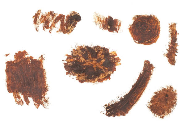 istock Brown paint brush strokes texture isolated on white background 1134061780