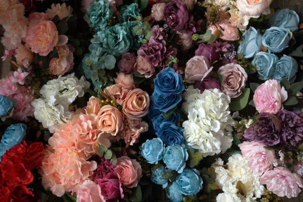 flores de imitación multicolor - alcatraces de colores fotografías e imágenes de stock