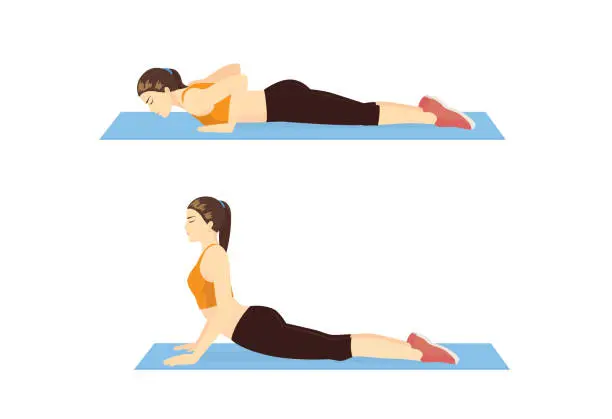 Vector illustration of Woman doing Cobra Stretch Exercise on blue mat in 2 step.