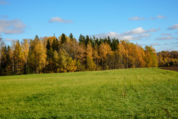 istock green cultivated fields in countryside 1134062518