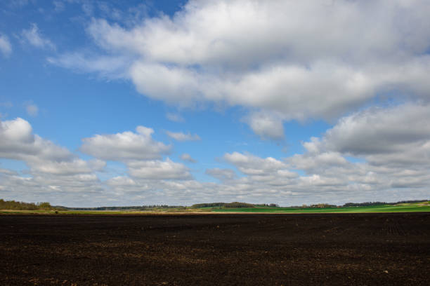 istock green cultivated fields in countryside 1134062576