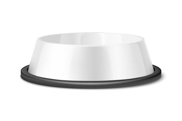 istock Vector Realistic 3d Glossy White Blank Plastic or Metal Pet Bowl Icon, Mock-up Closeup Isolated on White Background. Design Template of Bowl for Pet, Cat, Animal Food for Mockup. Front View 1134064254