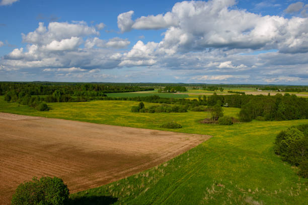 istock green cultivated fields in countryside 1134064617