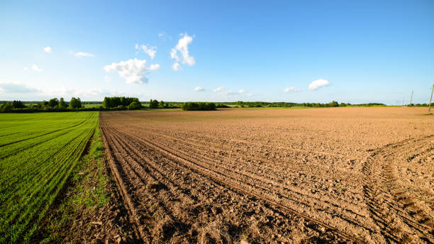 istock green cultivated fields in countryside 1134064696