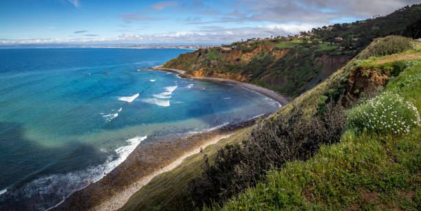 Vivid Bluff Cove in Spring Panorama Vivid Southern California coastal view of tall, grass covered cliffs of Bluff Cove with blue and turquoise  water, Palos Verdes Estates, California rancho palos verdes stock pictures, royalty-free photos & images