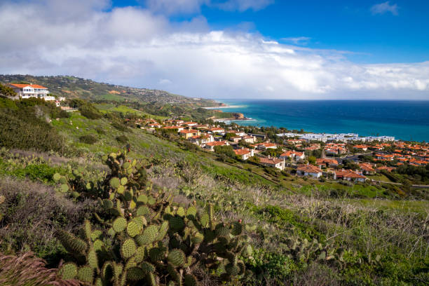 istock Stunning Southern California Coast 1134065264