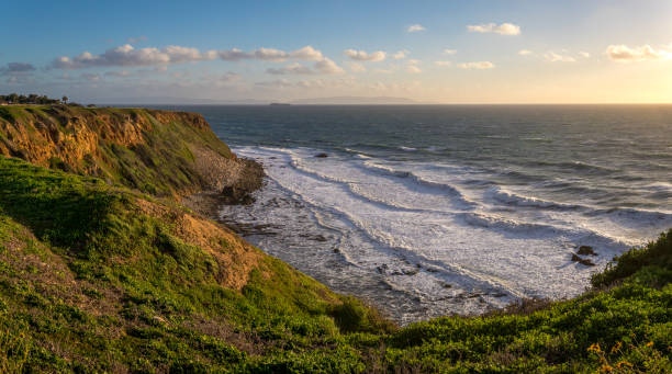 Grass Covered Point Vicente Bluff Beautiful grass blowing in the wind atop the tall bluffs of Point Vicente with waves crashing into the rocky shore below, Rancho Palos Verdes, California rancho palos verdes stock pictures, royalty-free photos & images