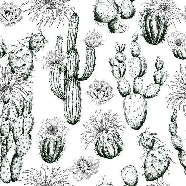 Vector illustration of Seamless pattern with black and white cactus plants and flowers.
