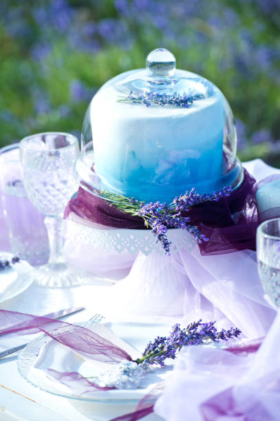 Beautiful wedding decor in lavender field.
