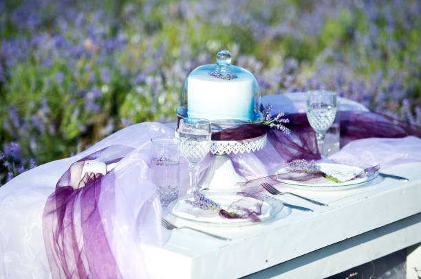 Beautiful wedding decor in lavender field.