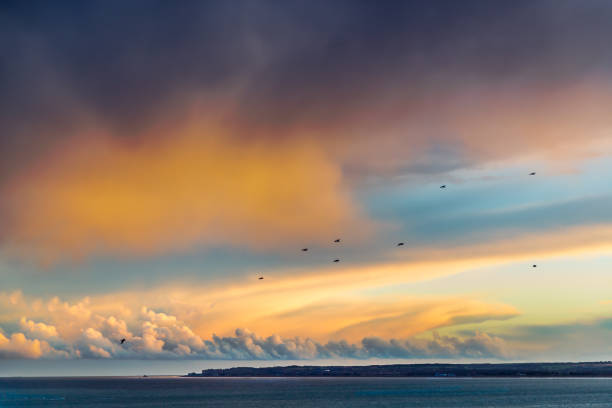 Pretty golden and blue cloudscape at dusk in Ramsgate, Thanet, Kent, UK looking across Sandwich Bay to Deal as a flock of birds fly by. Pretty golden and blue cloudscape at dusk in Ramsgate, Thanet, Kent, UK looking across Sandwich Bay to Deal as a flock of birds fly by. sandwich kent stock pictures, royalty-free photos & images