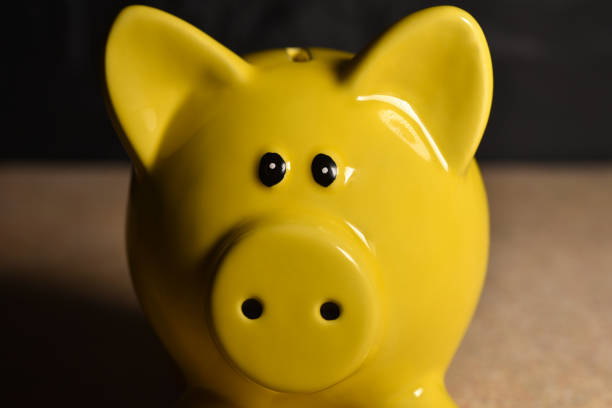 Yellow pig moneybox without coins on black background