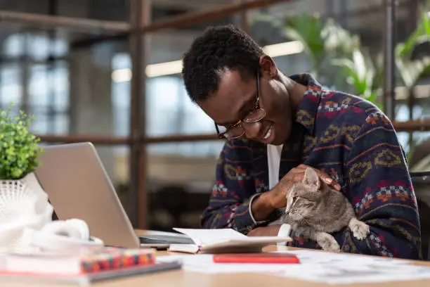 Photo of Man doing his tasks with a cat in his hands