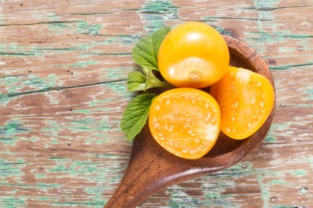 fruit of cape gooseberry, uvilla - gooseberry winter cherry uchuva isolated imagens e fotografias de stock