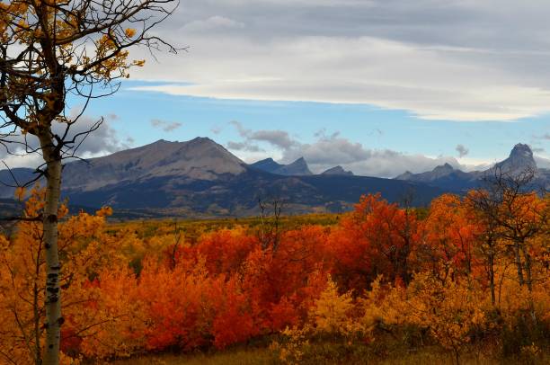 główną górę i wszystkie wspaniałe jesienne kolory otaczające pasmo górskie - mountain montana mountain peak mountain range zdjęcia i obrazy z banku zdjęć