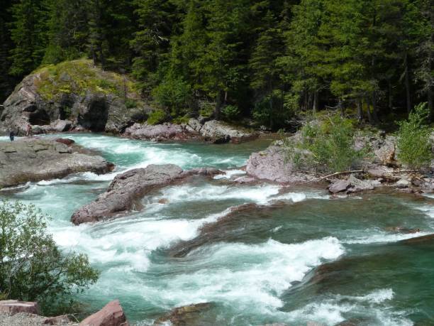 istock Rapids flowing over scultured rocks in nature 1134075813