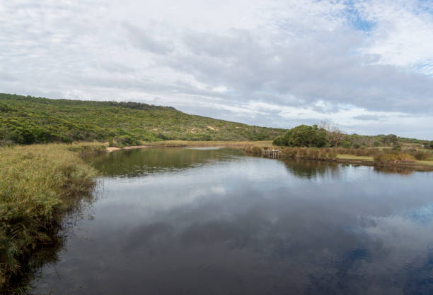 istock Aire River, Victoria, Australija 1134075969
