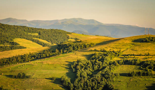 istock Summer in the Carpathians 1134079592