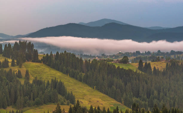 istock Summer in the Carpathians 1134079673
