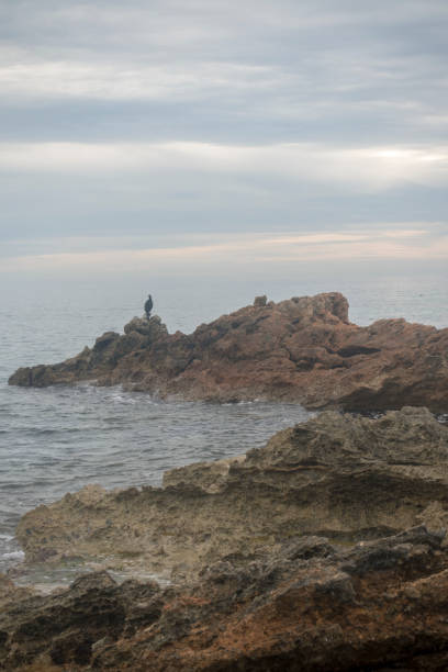 istock The coast of Ibiza a very cloudy day 1134080184