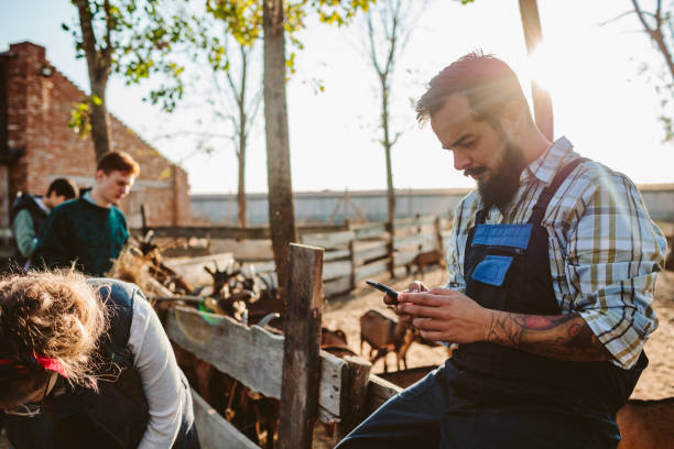 volontari della fattoria delle capre - il formaggio di coltivatore foto e immagini stock