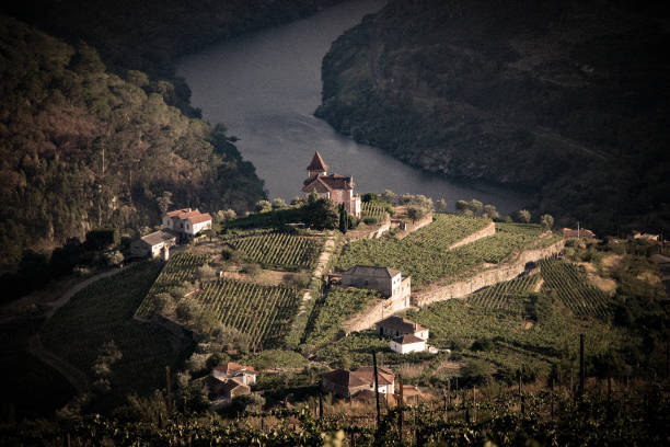 istock Landscape in Douro Valley, Portugal 1134081030