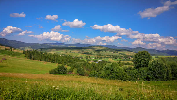 istock Summer in the Carpathians 1134081422