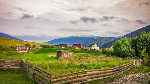 istock Summer in the Carpathians 1134081481