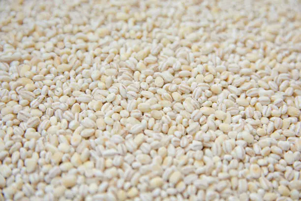 Barley grains background Barley grains background Barley stock pictures, royalty-free photos & images