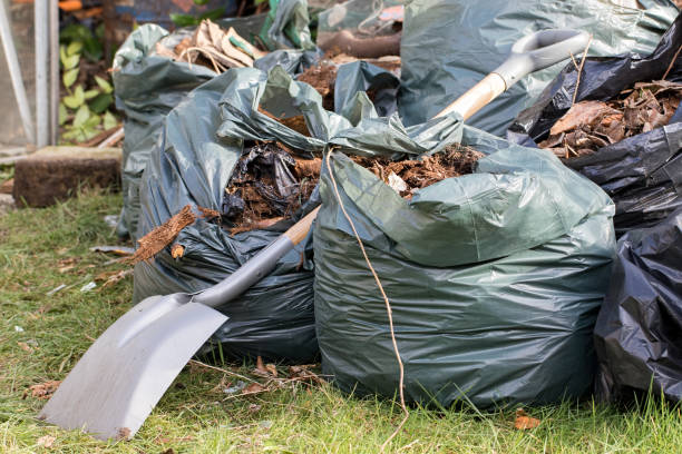 odpady ogrodowe. brązowe liście i śmieci zebrane z ogrodnictwa schludny. - garden waste zdjęcia i obrazy z banku zdjęć