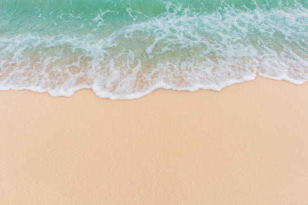 istock Soft wave of sea on empty sandy beach Background with copy space 1134083331