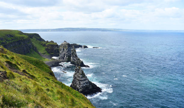 Rathlin Island bird sanctuary