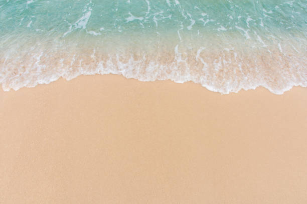 istock Soft wave of sea on empty sandy beach Background with copy space 1134083546