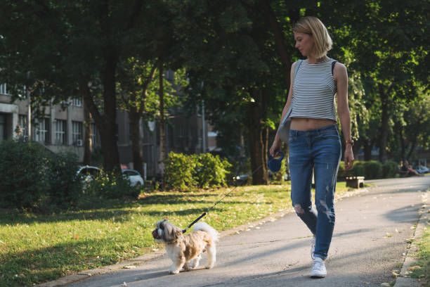 istock Woman with dog in a park 1134084078