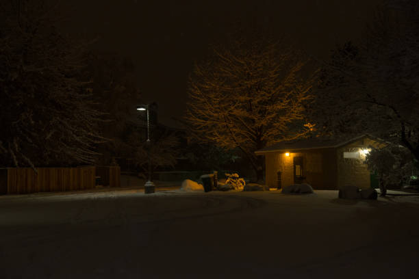 istock Moody night time snowstorm in a park 1134084208