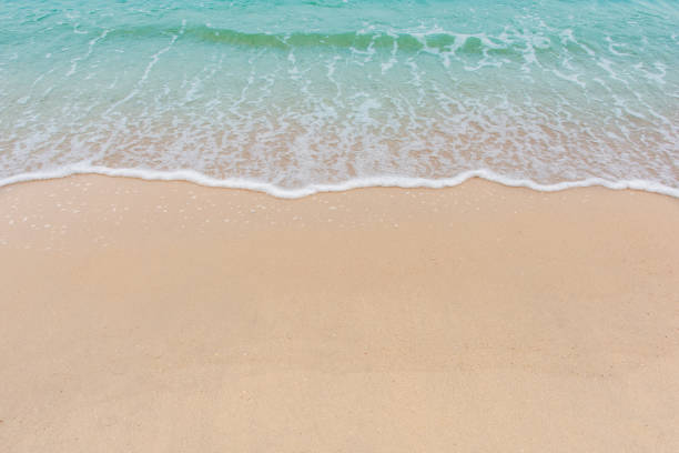 istock Soft wave of sea on empty sandy beach Background with copy space 1134084258