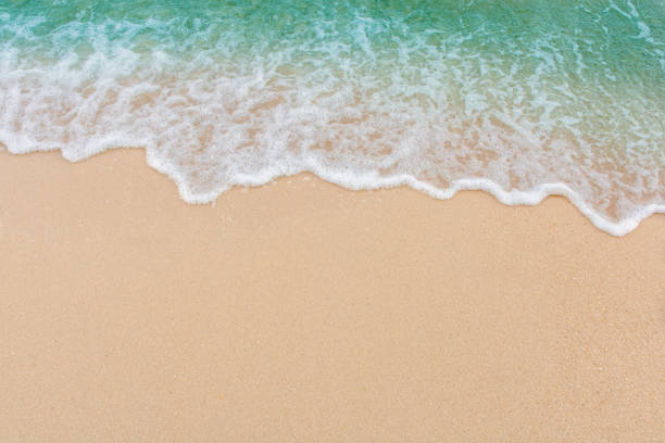 istock Soft wave of sea on empty sandy beach Background with copy space 1134084625
