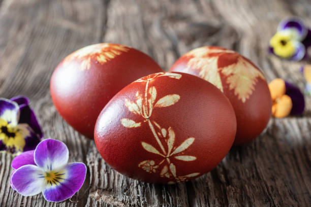 istock Easter eggs dyed with onion peels with a pattern of fresh herbs 1134085334