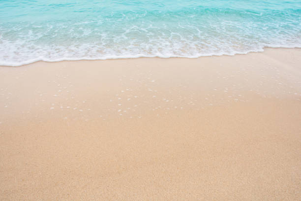 istock Soft wave of sea on empty sandy beach Background with copy space 1134085878