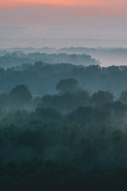 istock Mystical view from top on forest under haze at early morning. Mist among layers from tree silhouettes in taiga under warm predawn sky. Morning atmospheric minimalistic landscape of majestic nature. 1134085938