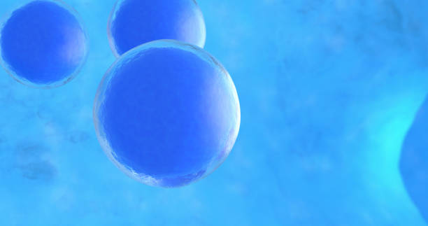 istock 3D illustration of human cells 1134086017
