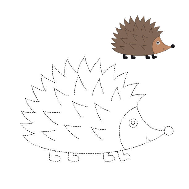 Vector Illustration Of Hedgehog For Coloring Book Stock Illustration -  Download Image Now - Hedgehog, Dotted Line, Outline - iStock