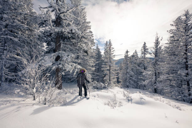 istock Snowshoeing female 1134089883