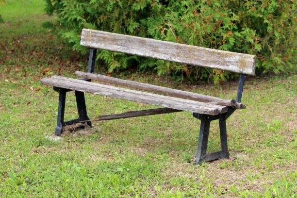 istock Broken old public bench with dilapidated wooden boards and strong metal supports surrounded with freshly cut grass and dense bush in background 1134091069