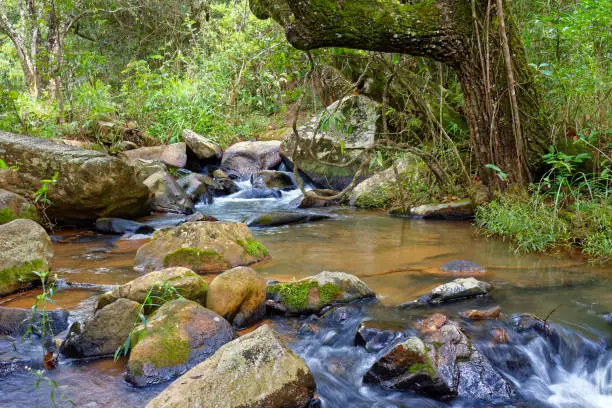 Photo of Small river with clear waters running through the rocks